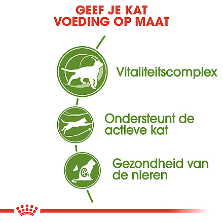Royal Canin Kattenvoer Outdoor 7+ 10 kg