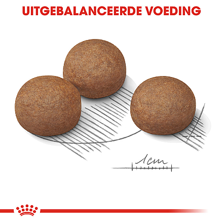 Royal Canin Hondenvoer Digestive Care Maxi 12 kg