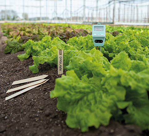 Sogo pH + Vochtigheidsmeter