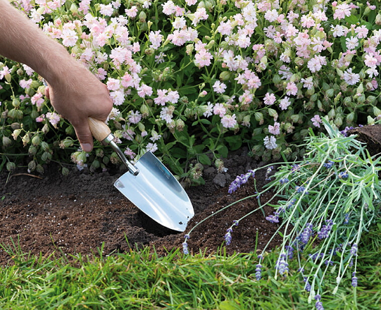 Sogo Plantschep Roestvrijstaal