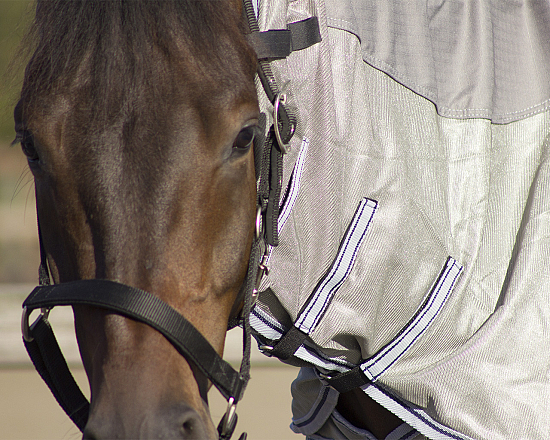 QHP Vliegendeken Combo met Hals