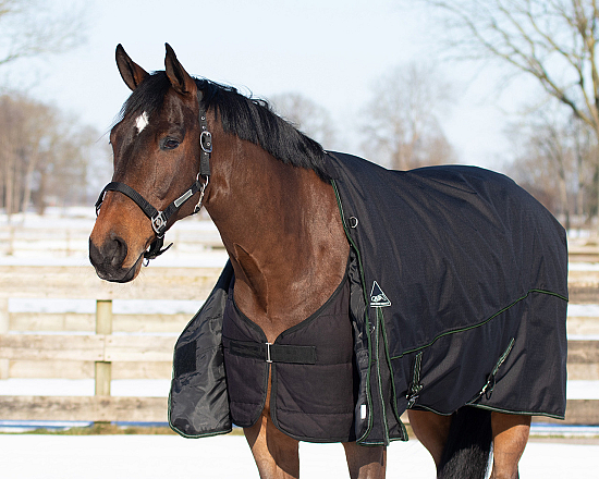 QHP Deken Combo Set Turnout - Onderdeken - Hals Zwart/Twist