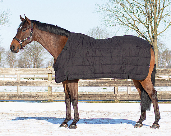 QHP Deken Combo Set Turnout - Onderdeken - Hals Zwart/Twist