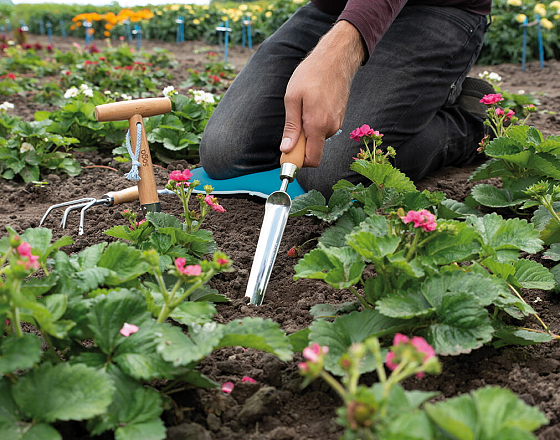 Sogo Verspeenstok Roestvrijstaal