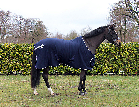 QHP fleecedeken met ornament blauw