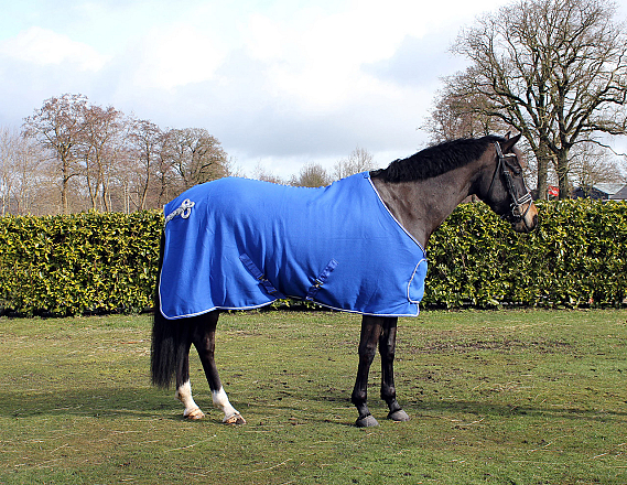 QHP fleecedeken met ornament kobalt/zilver