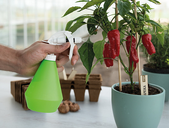 Sogo Waterverstuiver 0.5 ltr