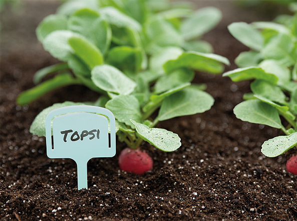 Sogo Labels+Zaadzakjehouder 12,5 cm 10 st