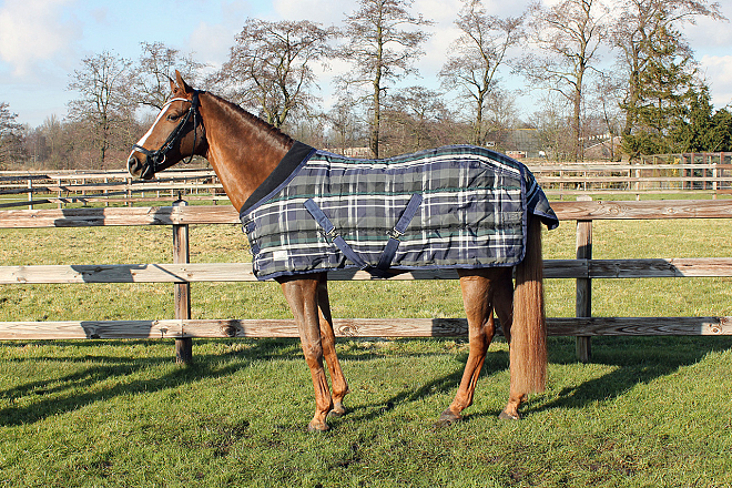 QHP staldeken Luxe 300 gr