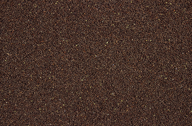 Perillazaad Bruin 650 gr
