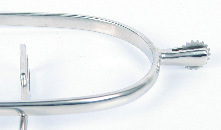 Harry's Horse Sporen wiel klein rvs H30