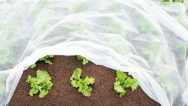 Sogo Vliesdoek 1,5 x 10 mtr