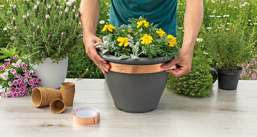 Sogo Slakkentape Koper 5 mtr