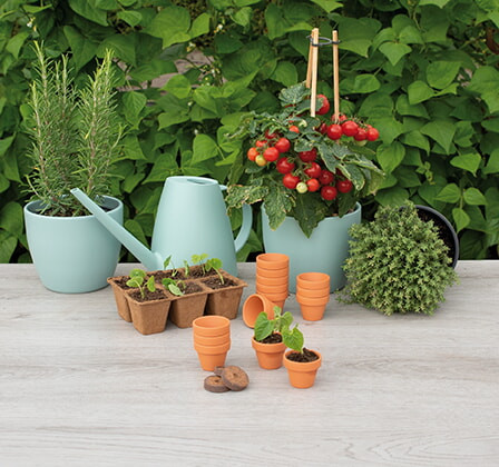 Sogo Stenen Terracotta Potjes 4/5 cm 12 st
