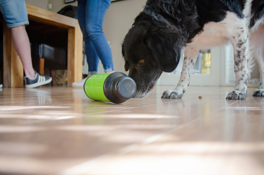 Eat Slow Live Longer Feed and Treat blauw