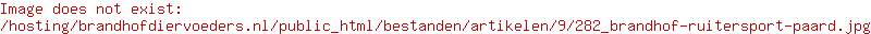 Voor het paard